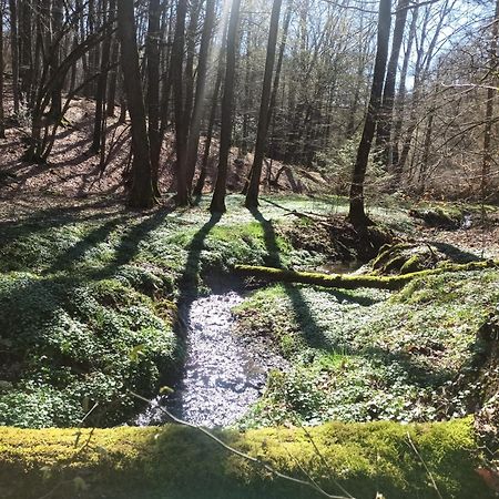 Wellness Ferienwohnung Biene Im Bergischen Land Much Exteriér fotografie